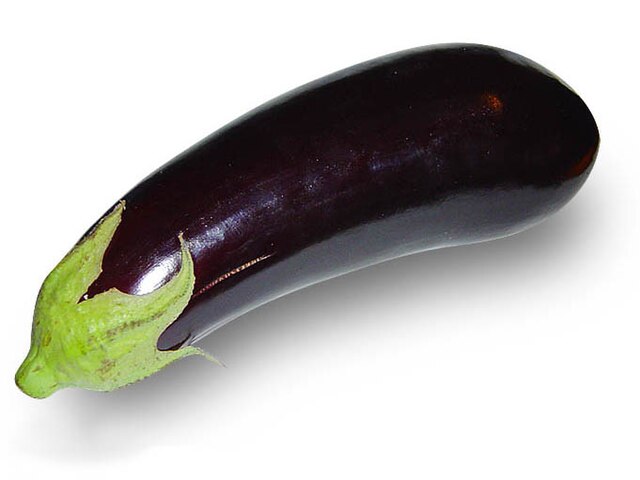 Eggplant - Wiktionary
