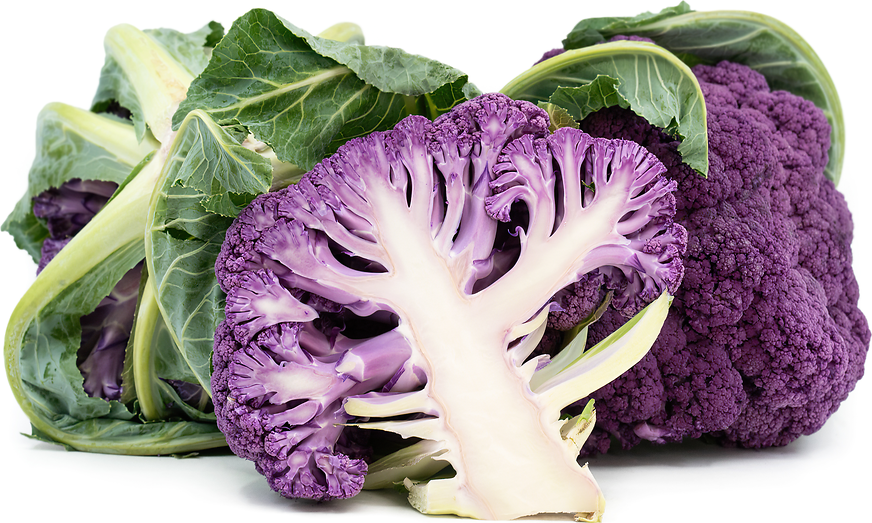 Purple Cauliflower Information And Facts