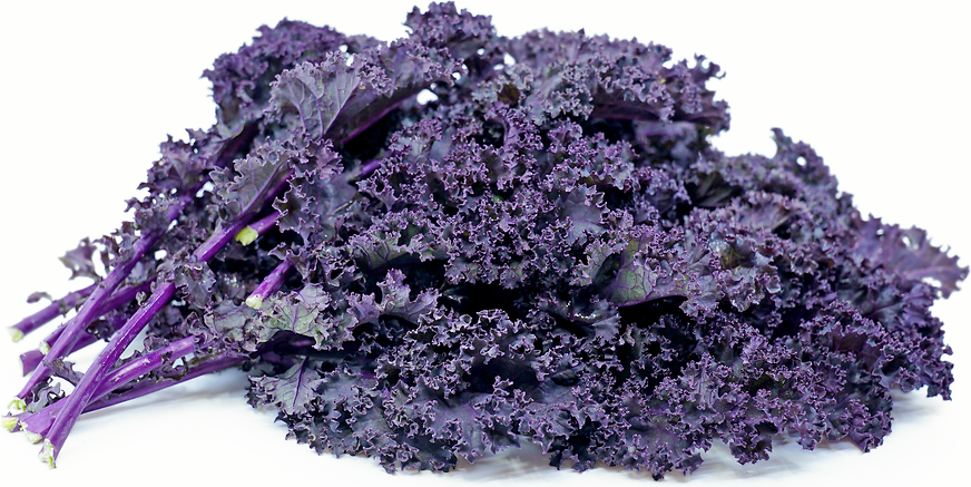 Redbor Kale Information And Facts